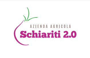 AZIENDA AGRICOLA SCHIARITI 2.0- PRODUZIONE E LAVORAZIONE CIPOLLA ROSSA DI TROPEA IGP - 1
