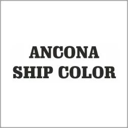ANCONA SHIP COLOR - RIPRISTINO IMBARCAZIONI CANTIERISTICA NAVALE - 1
