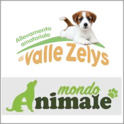 MONDO ANIMALE ALLEVAMENTO DI VALLE ZELYS - ALLEVAMENTO CANI PICCOLA TAGLIA - 1