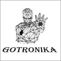 GOTRONIKA - CENTRO DI RIPARAZIONE E ASSISTENZA COMPUTER E SMARTPHONE - 1