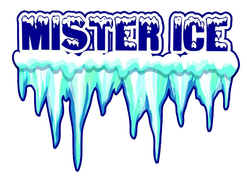 MISTER ICE - GELATERIA ARTIGIANALE ZONA TORRE ANGELA CASILINA TUSCOLANA CINECITTA QUARTO MIGLIO SAN LORENZO PIGNETO GIARDINETTI - 1