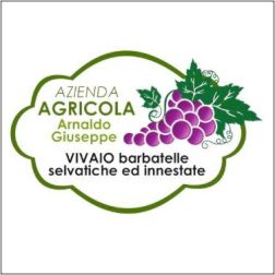 AZIENDA AGRICOLA ARNALDO GIUSEPPE - PRODUZIONE E VENDITA BARBATELLE SELVATICHE ED INNESTATE - 1