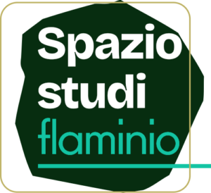 SPAZIO STUDI FLAMINIO - SCUOLA PRIVATA ZONA PRATI FLAMINIO CENTRO STORICO CIPRO PARIOLI - 1