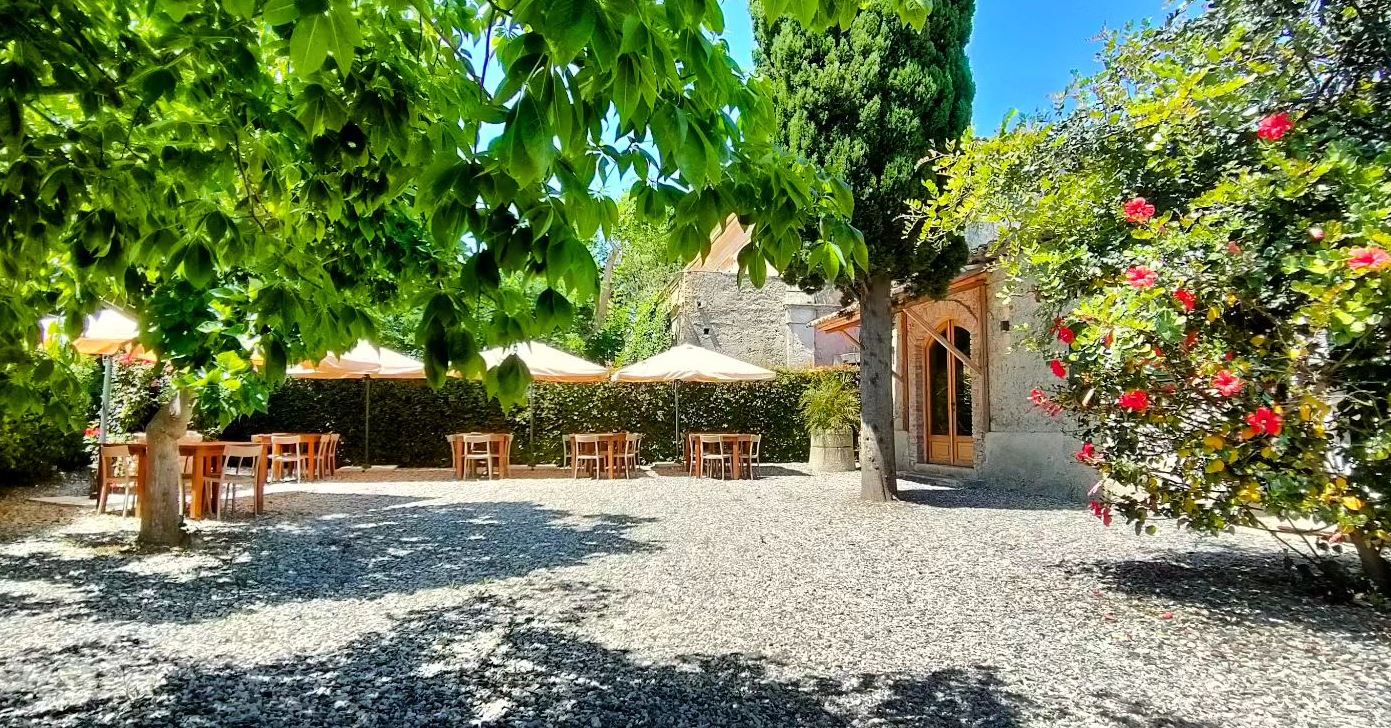 Casa Ponziana Azienda Agricola Biologica Con Vigna Agriturismo e B&B - 1