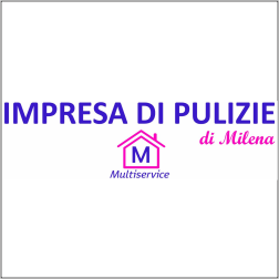 MULTISERVICE DI MILENA LIOTTA - IMPRESA DI PULIZIE PER STRUTTURE PUBBLICHE E PRIVATE - 1