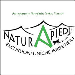 NATURAPIEDI GEA & ARCHITETTURA VERDE - PROGETTAZIONE GIARDINI CORSI DI ESCURSIONISMO - 1