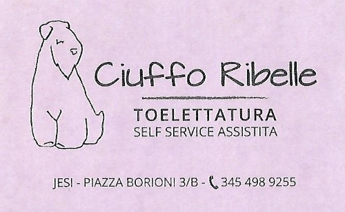 CIUFFO RIBELLE - TOELETTATURA CANI SELF SERVICE ASSISTITA - 1