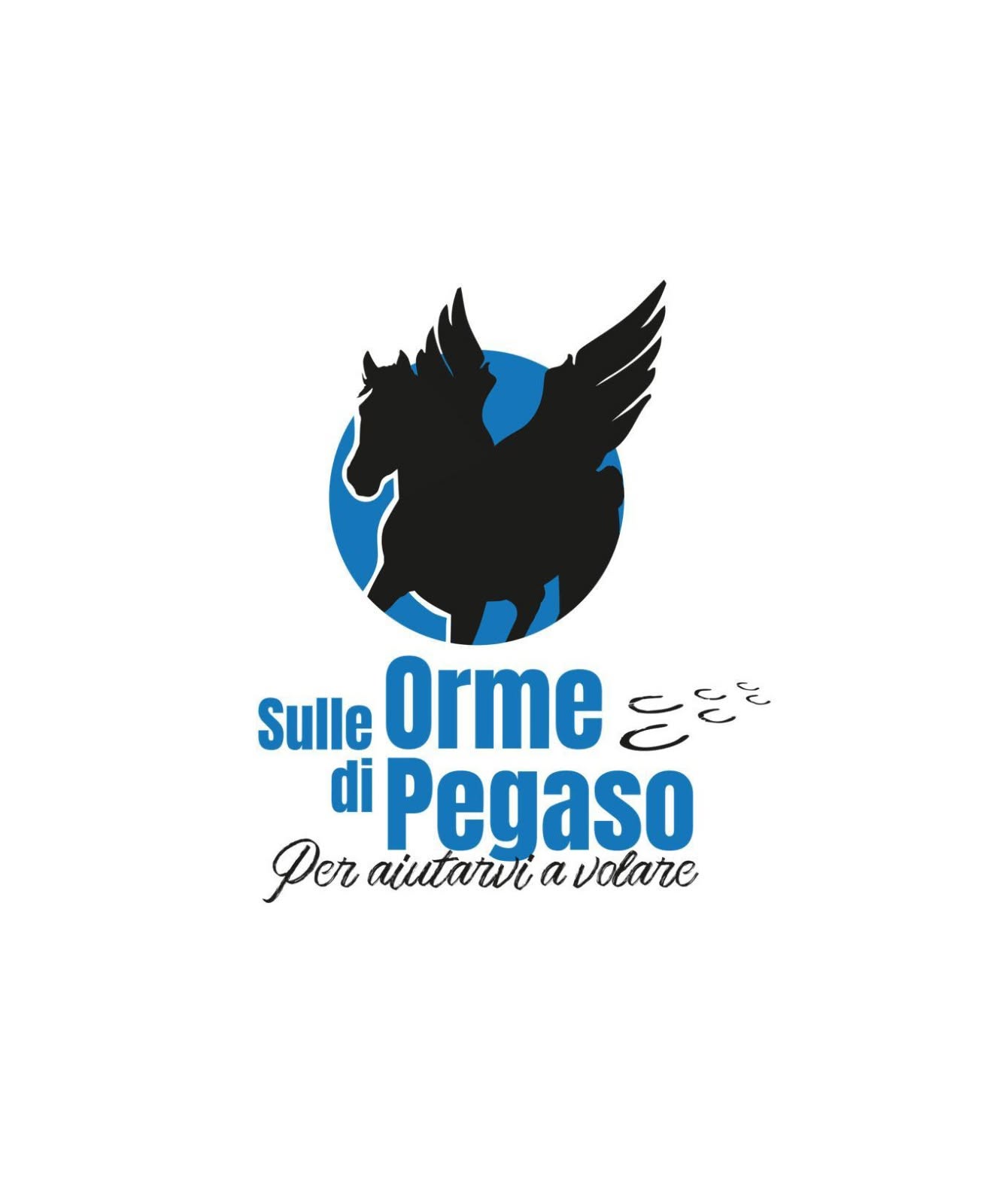SULLE ORME DI PEGASO | PERCORSI EDUCATIVI ABILITATIVI E RIABILITATIVI PER RAGAZZI CON DISABILITA' - 1