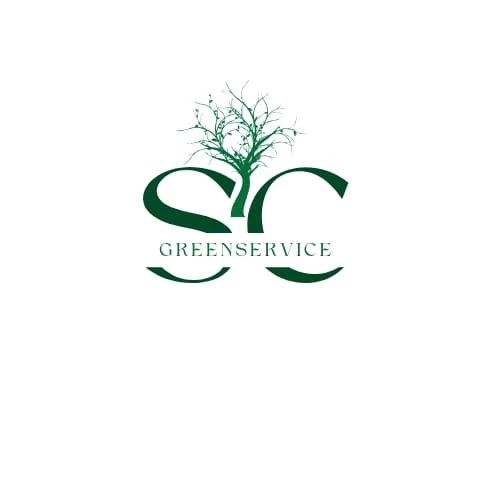 GREENSERVICE - CURA DEL VERDE E MANUTENZIONE GIARDINI PROFESSIONALE - 1