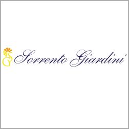 SORRENTO GIARDINI - AZIENDA AGRICOLA PRODUZIONE DI AGRUMI DI QUALIT IN ITALIA - 1