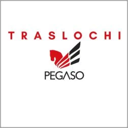 TRASLOCHI PEGASO | SERVIZI DI TRASLOCO PER PRIVATI RAPIDI AFFIDABILI E SICURI - 1