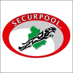 SECURPOOL | VIGILANZA PRIVATA E SICUREZZA INTEGRATA PER IMPRESE E STRUTTURE COMMERCIALI - 1