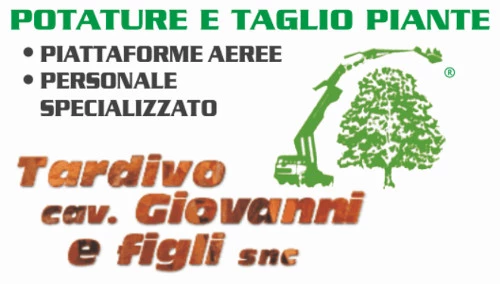 TARDIVO CAV. GIOVANNI & FIGLI - GIARDINAGGIO POTATURE E TAGLIO PIANTE - 1