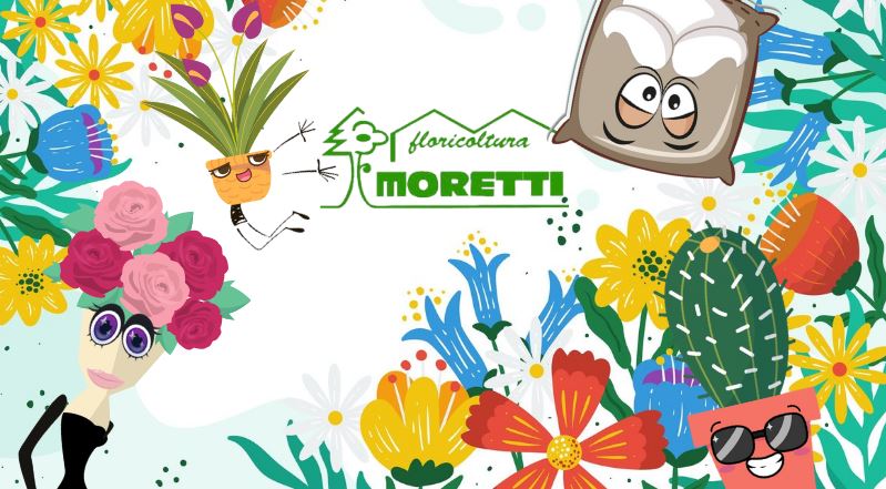 Floricoltura Moretti Progettazione e Manutenzione Giardini Pubblici e Privati Trattamenti Fitosanitari Per Giardino - 1