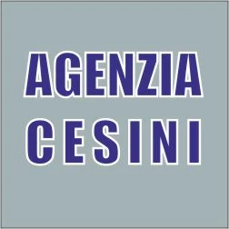 AGENZIA CESINI - SPORTELLO TELEMATICO DELL'AUTOMOBILISTA (Cremona)