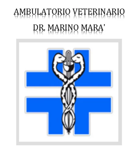 AMBULATORIO VETERINARIO DR MARINO MARA’ - CENTRO DIAGNOSTICO  VETERINARIO SPECIALIZZATO IN MEDICINA INTERNA VETERINARIA