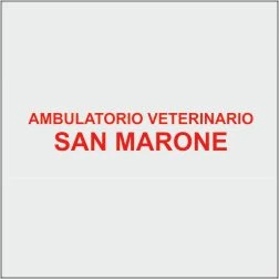 AMBULATORIO VETERINARIO SAN MARONE - CLINICA VETERINARIA (Macerata)