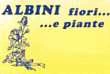 ALBINI FIORI - 1