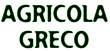 AZIENDA AGRICOLA DOMENICO GRECO - 1