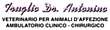 TRUGLIO DR. ANTONINO VETERINARIO - 1