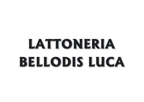 LATTONERIA BELLODIS LUCA - REALIZZAZIONE GRONDAIE E COPERTURE TETTI