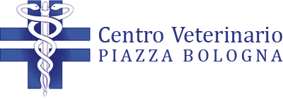 VETERINARIO CON ANESTESISTA - CENTRO VETERINARIO PIAZZA BOLOGNA (Roma)
