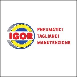 ASSISTENZA, SOSTITUZIONE, STOCAGGIO E DEPOSITO PNEUMATICI TORINO - IGOR (Torino)