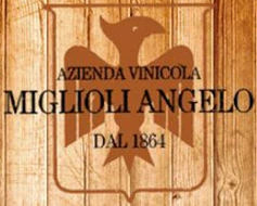 PRODUZIONE VINI VIADANA AZIENDA AGRICOLA LONGHERA DI MIGLIOLI ALBERTO (Mantova)