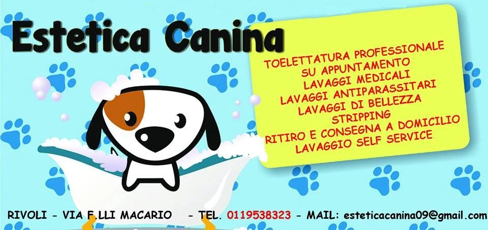 ESTETICA CANINA - LAVAGGIO CANI SELF SERVICE CON CARD APERTO 24 H SU 24