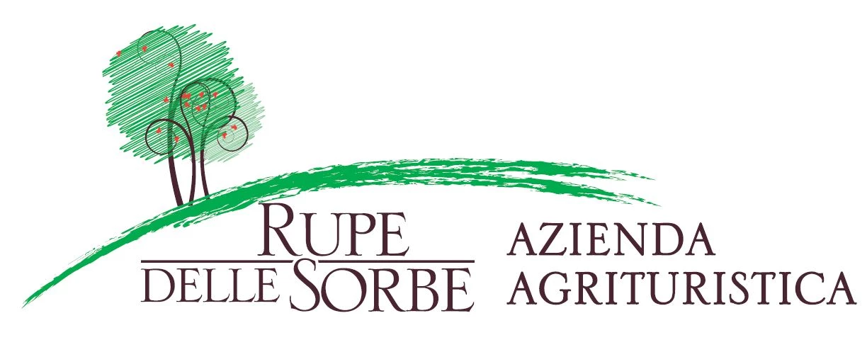 AGRITURISMO CON  CAMERE E TERRAZZA PANORAMICA  - AGRITURISMO RUPE DELLE SORBE (Potenza)