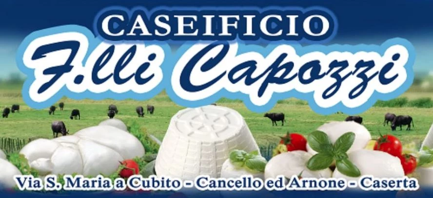 CASEIFICIO FRATELLI CAPOZZI|CASEIFICIO ARTIGIANALE PRODUZIONE PRODOTTI CASEARI A KM 0|MOZZARELLA DI BUFALA CAMPANA