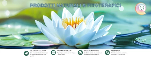 VENDITA ONLINE DI PRODOTTI NATURALI E PRODOTTI COSMETICI NATURALI BIO E VEGANI - PENSA NATURALE (Torino)