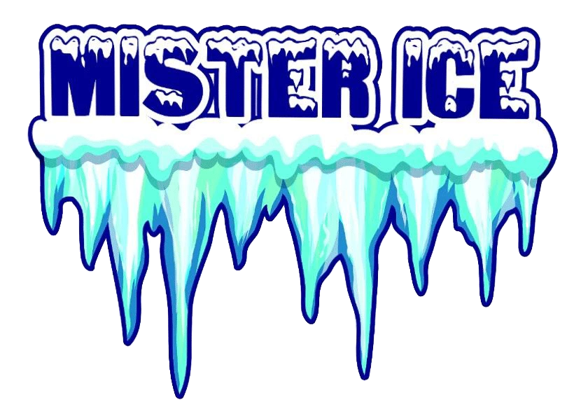 MISTER ICE - GELATERIA ARTIGIANALE ZONA TORRE ANGELA CASILINA TUSCOLANA CINECITTA QUARTO MIGLIO SAN LORENZO PIGNETO GIARDINETTI