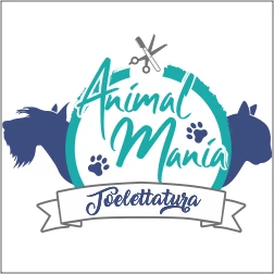 LAVAGGIO E TOELETTATURA GATTI -  ANIMALMANIA (Torino)