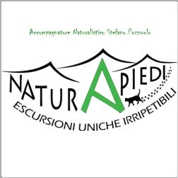 NATURAPIEDI GEA & ARCHITETTURA VERDE - PROGETTAZIONE GIARDINI CORSI DI ESCURSIONISMO (Torino)