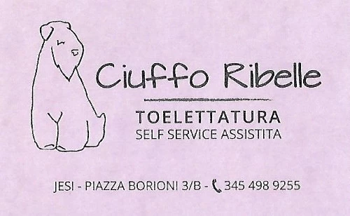 CIUFFO RIBELLE - TOELETTATURA CANI SELF SERVICE ASSISTITA