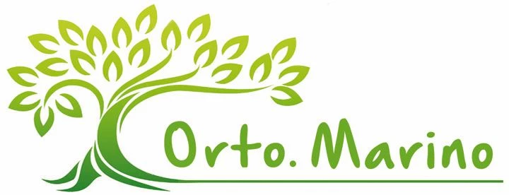 ORTOFRUTTICOLA  MARINO | VENDITA FRUTTA E VERDURA FRESCA CON GASTRONOMIA VEGETARIANA E CONSEGNA A DOMICILIO