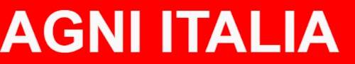 SANTICS ITALIA - STUFE IN GHISA GIAPPONESI DI ALTA QUALITA'