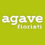 AGAVE - 1