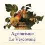AGRI-RISTORANTE LE VESCOVANE - 1