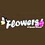 FLOWERS DI IGNAZIO FERRANTE - 1
